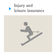 Injury and leisure insurance