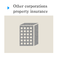 Other corporations property insurance